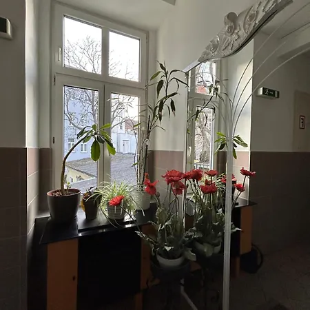 Reiner Apartment Wien Exterior foto